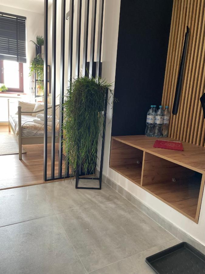 Apartamenty Luczkowskiego Z Widokiem Na Studnie 2 Chełm Extérieur photo